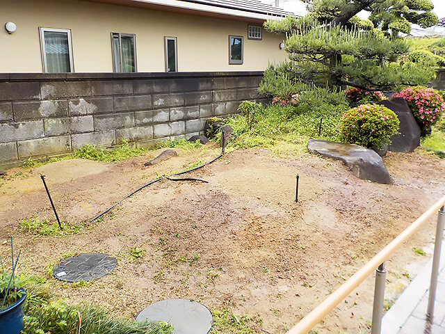 伐採
